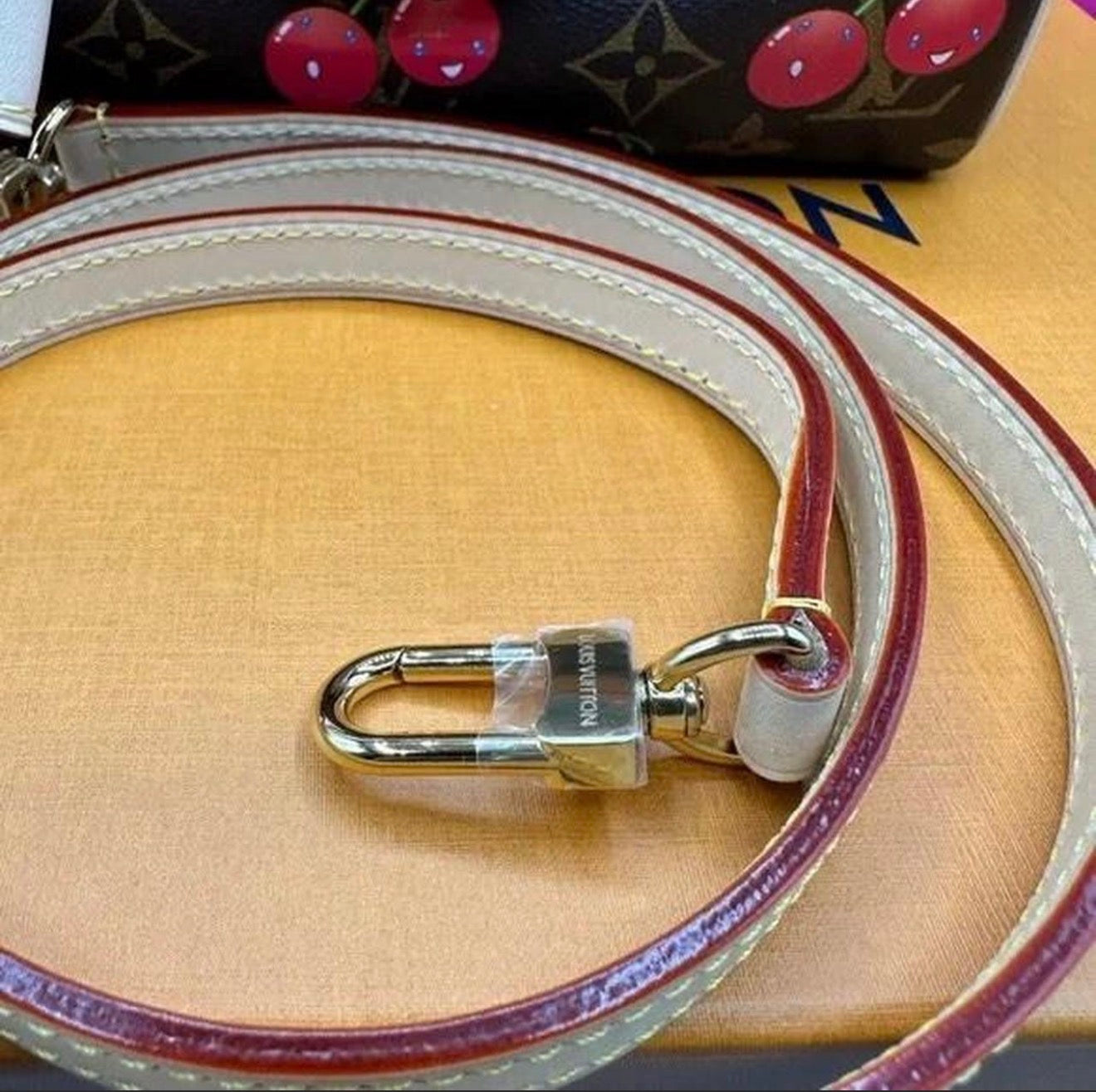 Louis Vuitton Murakami Cherry Monogram Speedy 20